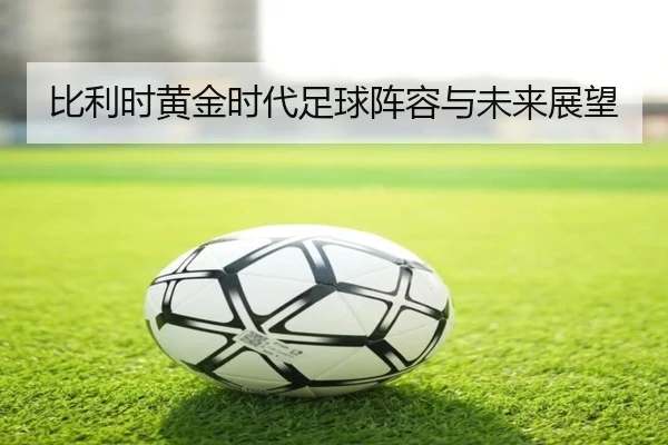 bi-li-shi-huang-jin-shi-dai-zu-qiu-zhen-rong-yu-wei-lai-zhan-wang-2-321.jpg