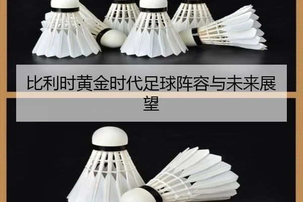 比利时黄金时代足球阵容与未来展望
